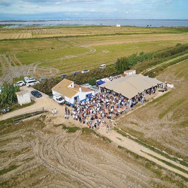Clandestinos: volver al arrozal